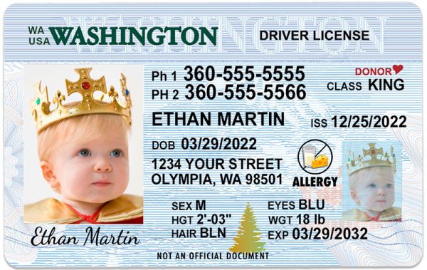 washington kid driver license wb