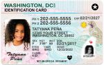 washingtonDC kid driver license hg