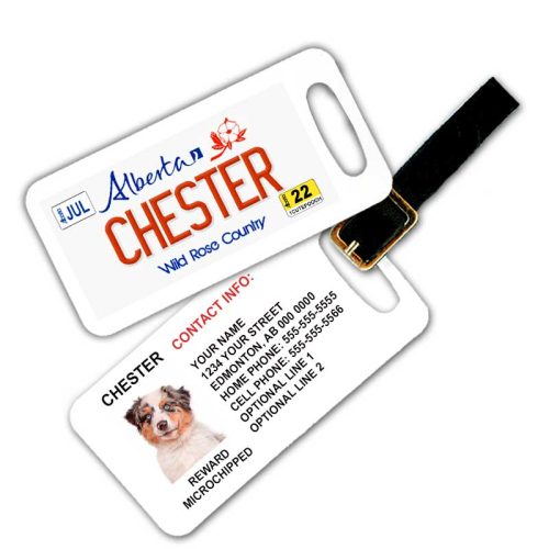 alberta license plate luggage tag
