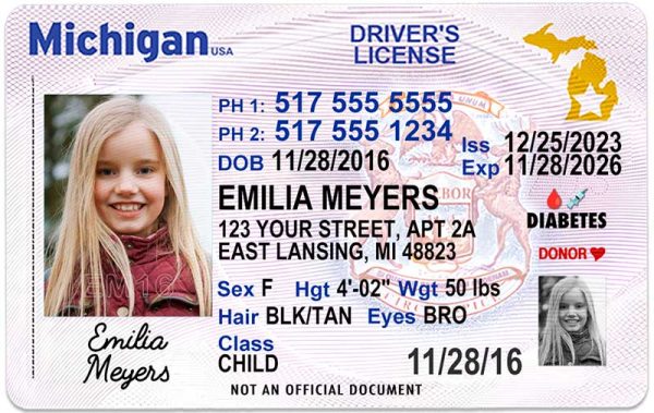 michigan kid driver license wg