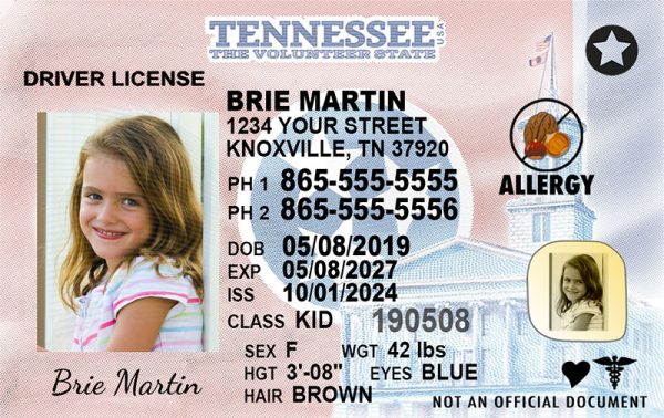 tennessee kid driver license wg