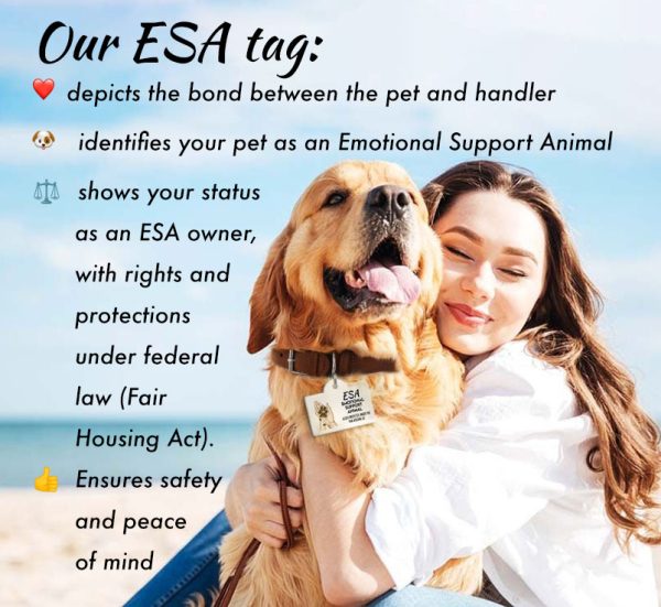 esa product pic3