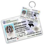 New Hampshire2 Driver License ID Tag and Wallet Card