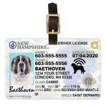 New Hampshire2 driver license luggage tag