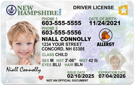 new hampshire kid driver license wb