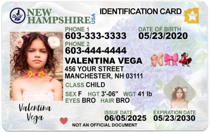 new hampshire kid id lg