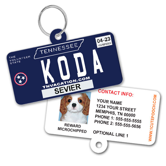 tennessee license plate ID tag tennessee license plate ID tag