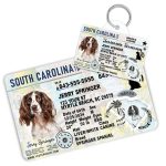 South Carolina2 Driver License ID Tag and Wallet Card