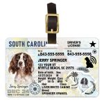 South Carolina2 driver license luggage tag