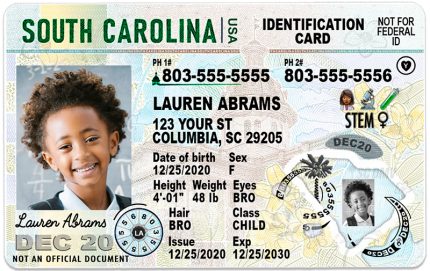 south carolina kid ID bg