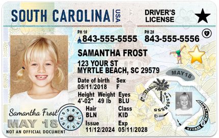 south carolina kid driver license wg