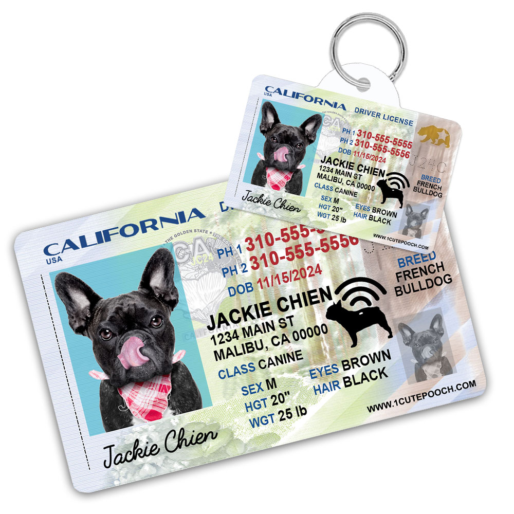 California2 Driver License ID Tag and Wallet Card California2 Driver License ID Tag and Wallet Card