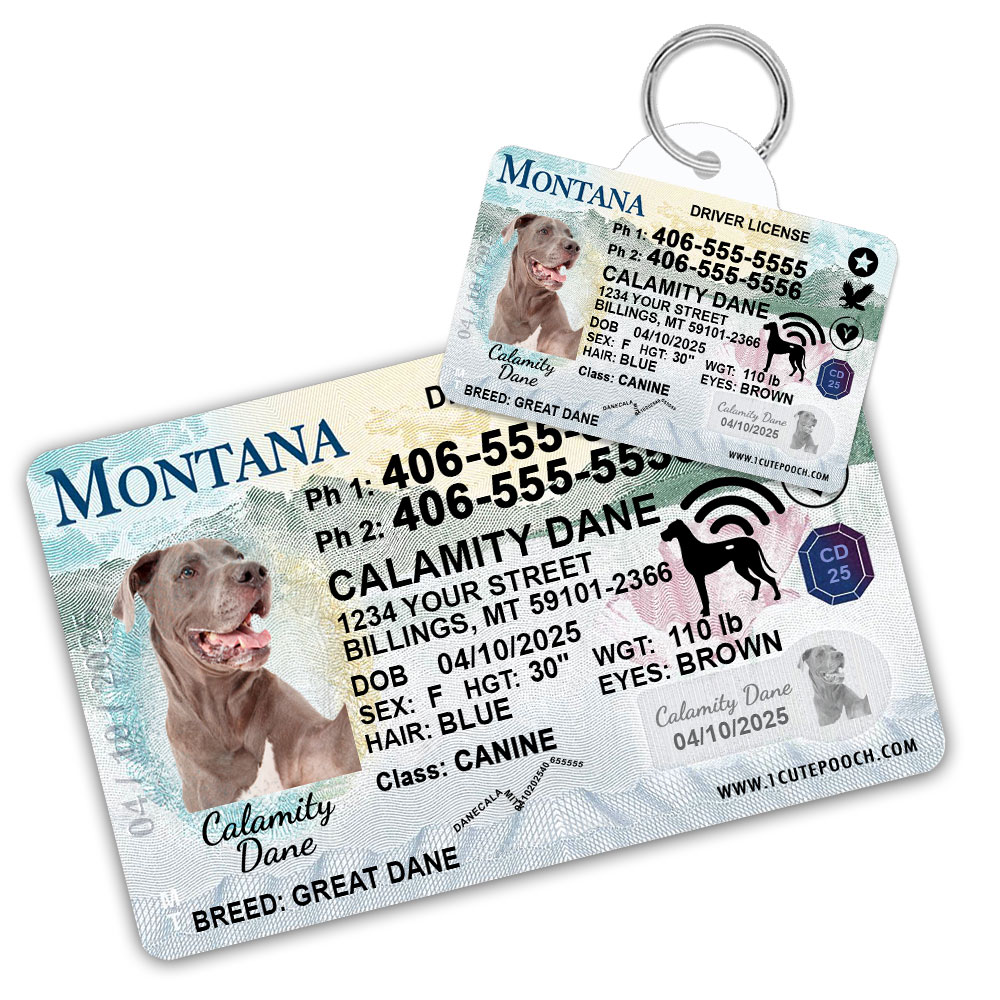Montana2 Driver License ID Tag and Wallet Card Montana2 Driver License ID Tag and Wallet Card