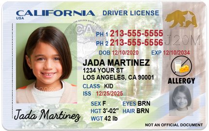 california 2026 kid license lg