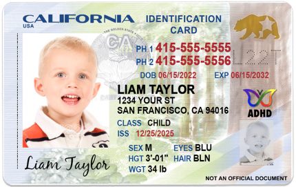 california 2026 kid license wb