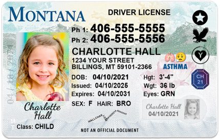 montana kid driver license wg1