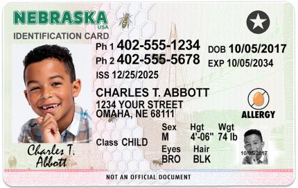 nebraska 2026 kid driver license bb