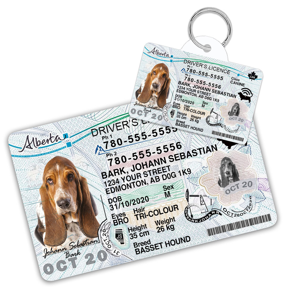 Alberta2 Driver License ID Tag and Wallet Card Alberta2 Driver License ID Tag and Wallet Card