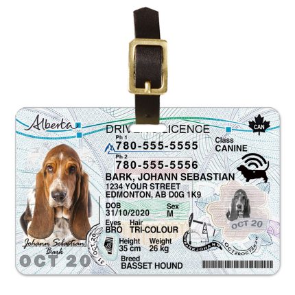 Alberta2 driver license luggage tag