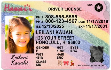 hawaii 2026 kid hg