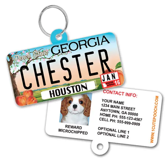 georgia license plate id tag georgia license plate id tag