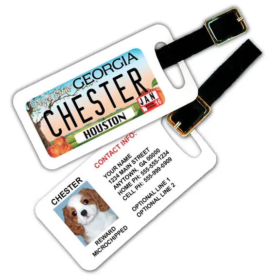 georgia luggage tag