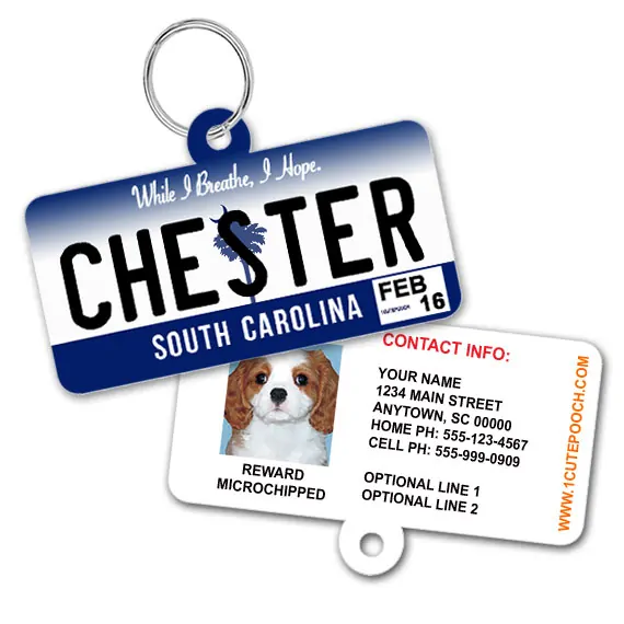 south carolina license plate id tag south carolina license plate id tag