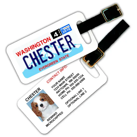 washington luggage tag