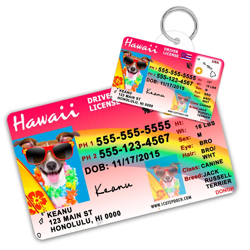 hawaii pet driver license pet id tag 800