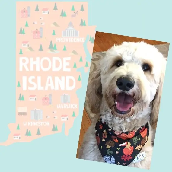 rhode island license plate customer photo