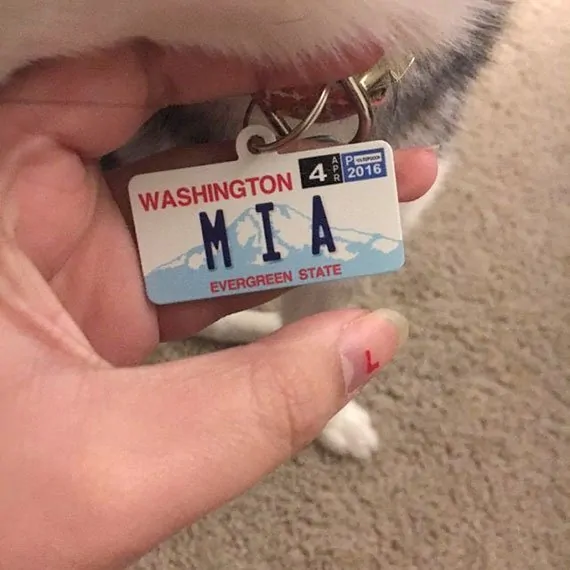 washington license plate customer photo2