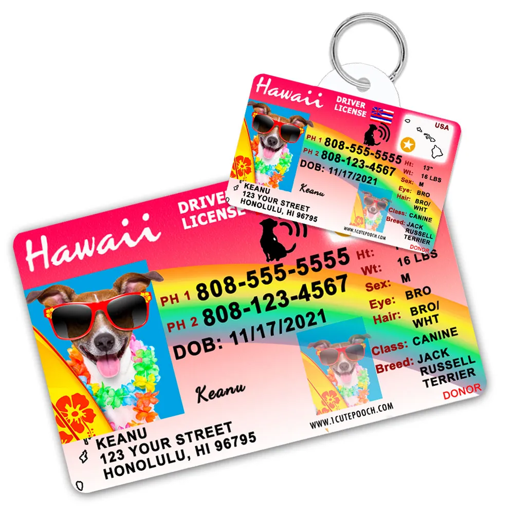 Hawaii Driver License ID Tag and Wallet Card