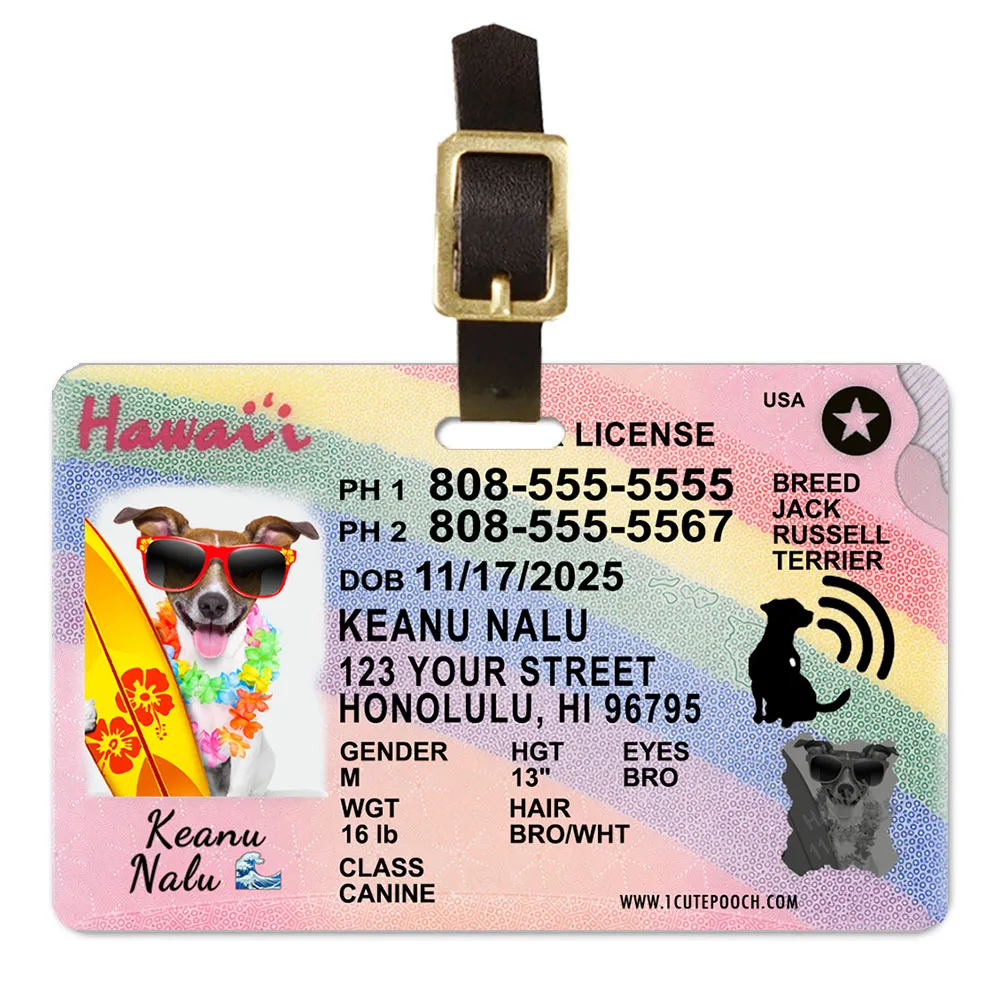 Hawaii2 driver license luggage tag